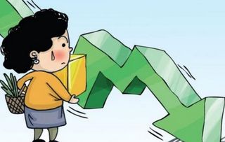 上海朗龙投资咨询中心 有限合伙